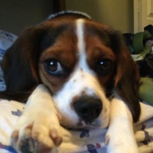 Meet your Posher, Jack